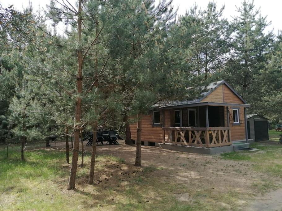 Swietna Chatka Swietne Exterior photo