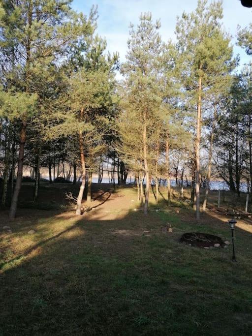 Swietna Chatka Swietne Exterior photo